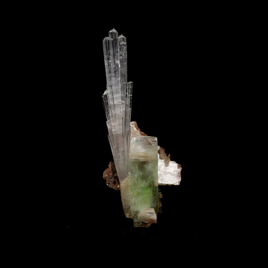 Scolecite Spray With Gren Apophyllite, Stilbite Natural Mineral Specim…  https://www.superbminerals.us/products/scolecite-spray-with-gren-apophyllite-stilbite-natural-mineral-specimen-b-5270  Features: This is a beautiful cluster of pseudo-cubic Apophyllite crystals and lustrous peach stilbite. Large Apophyllite crystals show interesting zoning with bands of colors from apple green at the base of the crystals to clear at the top. Primary Mineral(s): Apophyllite Secondary Mineral(s): Stilbite