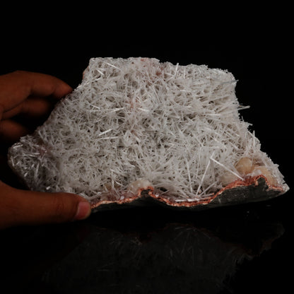 Scolecite Spray with Stilbite Natural Mineral Specimen # B 5510 scolecite Superb Minerals 