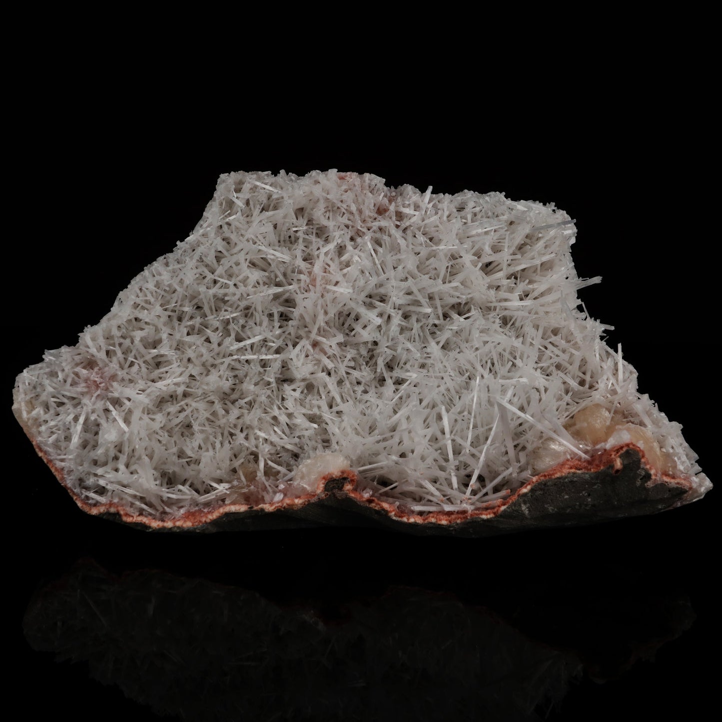 Scolecite Spray with Stilbite Natural Mineral Specimen # B 5510 scolecite Superb Minerals 