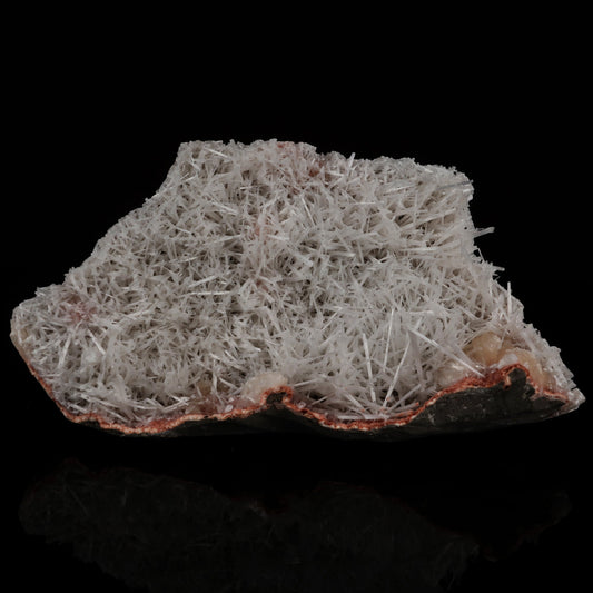 Scolecite Spray with Stilbite Natural Mineral Specimen # B 5510 scolecite Superb Minerals 
