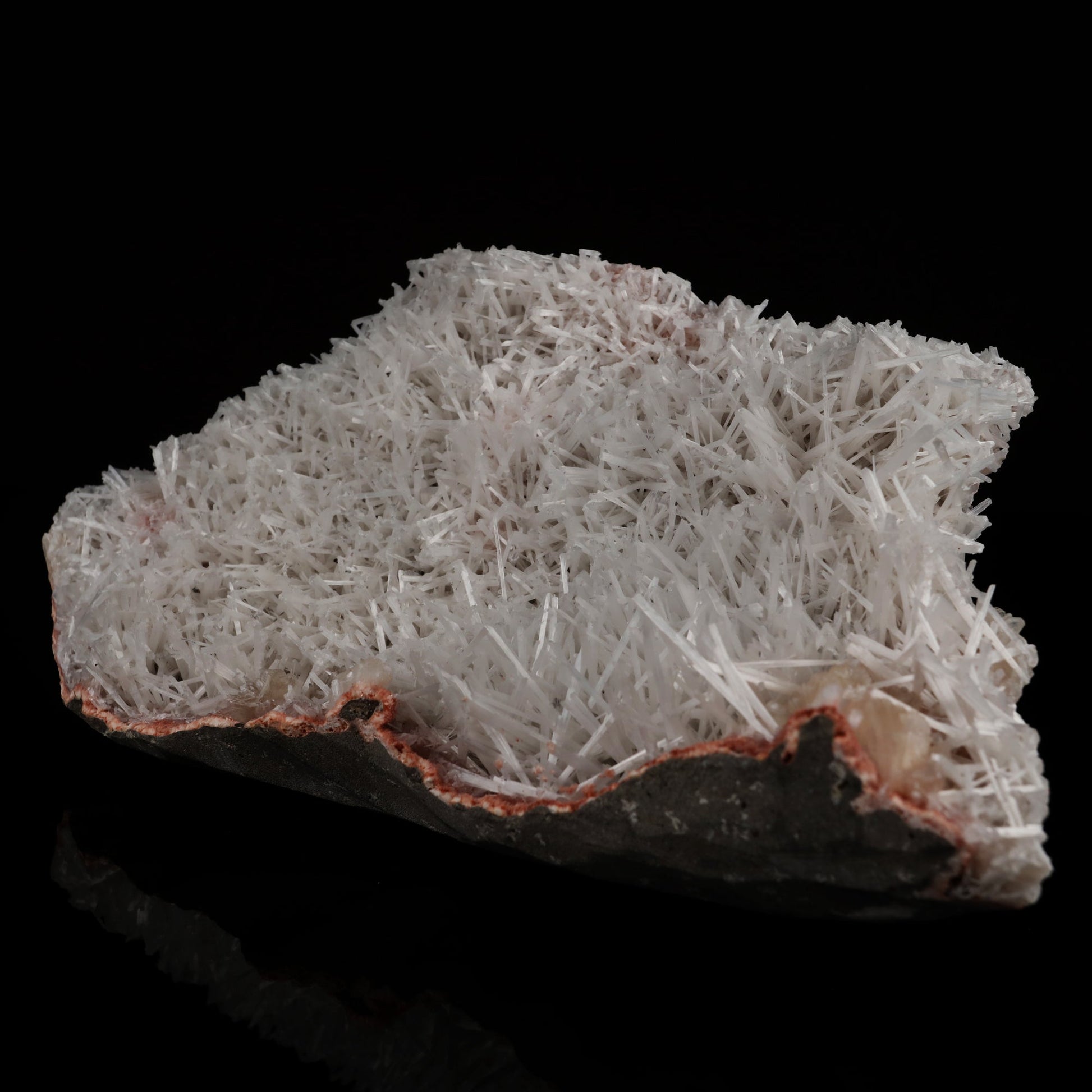 Scolecite Spray with Stilbite Natural Mineral Specimen # B 5510 scolecite Superb Minerals 