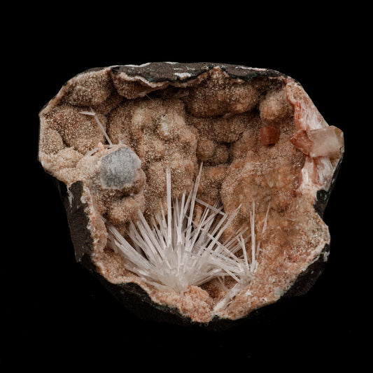 Scolecite Sprays Fan Inside Heulandite Geode Natural Mineral Specimen …  https://www.superbminerals.us/products/scolecite-sprays-fan-inside-heulandite-geode-natural-mineral-specimen-b-5133  Features: A large, free-standing Geode with peach-colored Heulandite crystals and two clusters of beige Stilbite crystals. The Geode is a three-dimensional entity that is tall, thin, and deep.Very nice and in excellent condition. Primary Mineral(s): Scolecite Secondary Mineral(s): N/AMatrix: Heulandite 