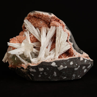 Scolecite Sprays Inside Heulandite Geode Natural Mineral Specimen # B…  https://www.superbminerals.us/products/scolecite-sprays-inside-heulandite-geode-natural-mineral-specimen-b-5034  Features:&nbsp;A big, free-standing Geode bordered with peach-colored Heulandite crystals and including two clusters of beige Stilbite crystals. The Geode is a three-dimensional object that is tall, thin, and deep.Very attractive and in great condition. 