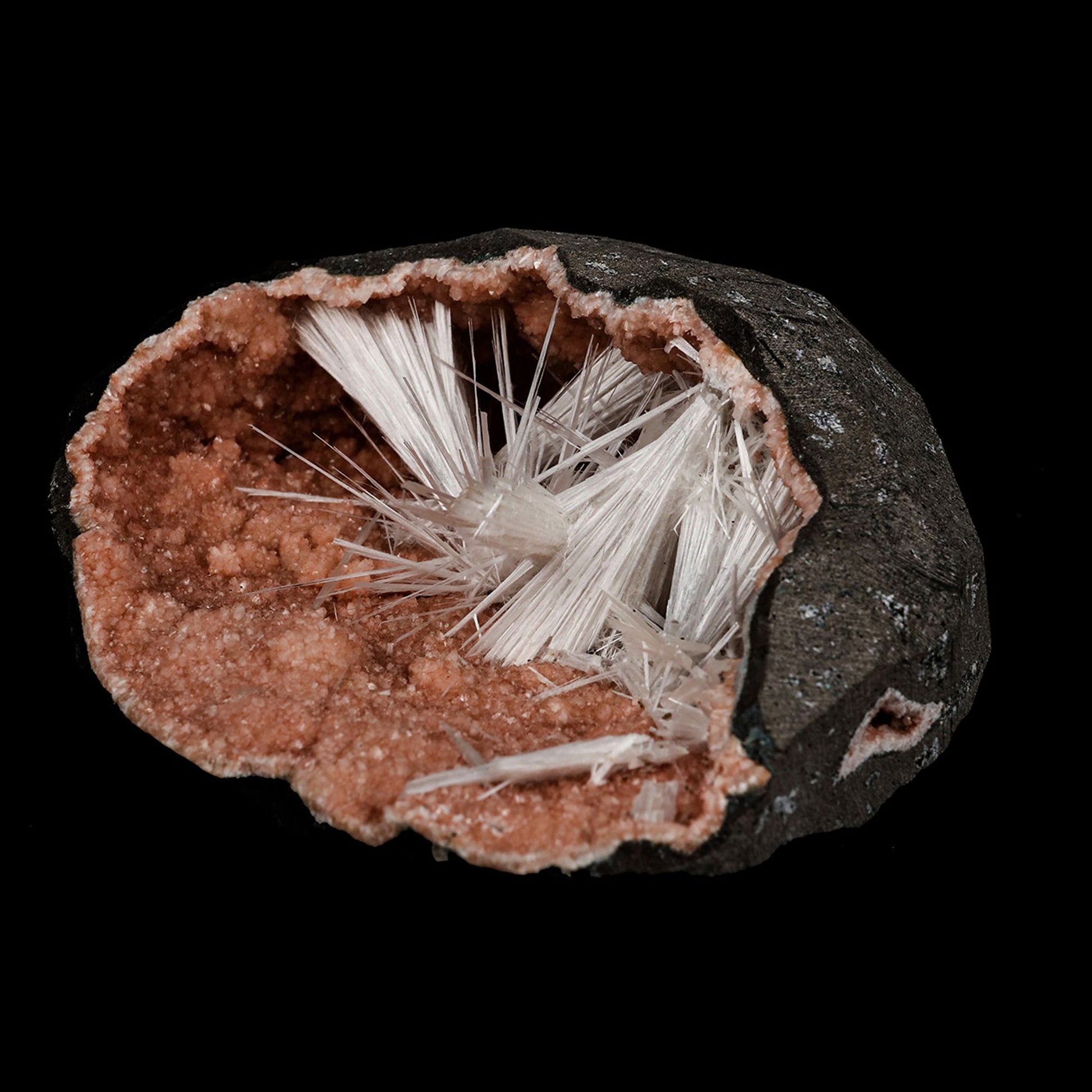 Scolecite Sprays Inside Heulandite Geode Natural Mineral Specimen # B…  https://www.superbminerals.us/products/scolecite-sprays-inside-heulandite-geode-natural-mineral-specimen-b-5269  Features: Scolecite crystals cover a reddish heulandite matrix in a geode. An unwanted piece of rock is removed by sawing. Primary Mineral(s): Scolecite Secondary Mineral(s): HeulanditeMatrix: N/A 4 Inch x 3.5 InchWeight : 343 GmsLocality: Aurangabad, Maharashtra, India Year of Discovery: 2021