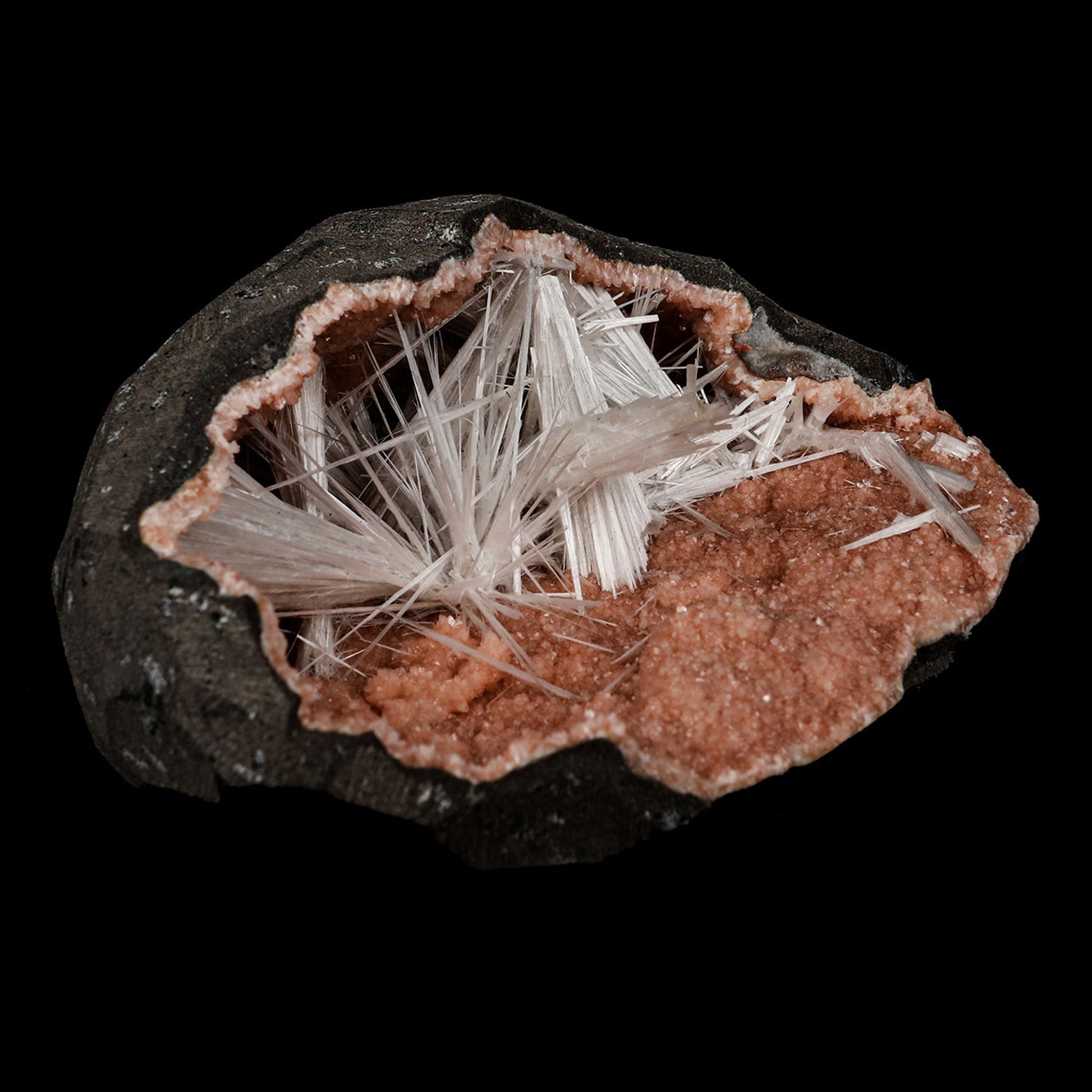 Scolecite Sprays Inside Heulandite Geode Natural Mineral Specimen # B…  https://www.superbminerals.us/products/scolecite-sprays-inside-heulandite-geode-natural-mineral-specimen-b-5269  Features: Scolecite crystals cover a reddish heulandite matrix in a geode. An unwanted piece of rock is removed by sawing. Primary Mineral(s): Scolecite Secondary Mineral(s): HeulanditeMatrix: N/A 4 Inch x 3.5 InchWeight : 343 GmsLocality: Aurangabad, Maharashtra, India Year of Discovery: 2021