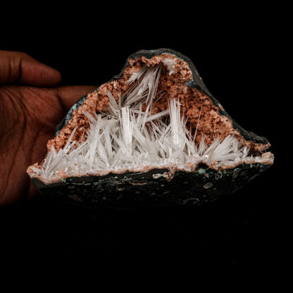 Scolecite Sprays Inside Heulandite Geode Natural Mineral Specimen # B…  https://www.superbminerals.us/products/scolecite-sprays-inside-heulandite-geode-natural-mineral-specimen-b-5286  Features: A huge Geode with beige Heulandite crystals and a conspicuous radial spray of glossy, colourless, extremely transparent, acicular (needle-like) Scolecite crystals throughout, as well as numerous solitary Scolecite crystals. Simply breathtaking - the crystal structure, lustre, contrast, and symmetry are all 