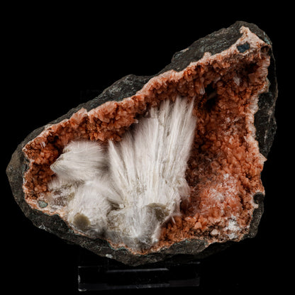 Scolecite Sprays Inside Heulandite Geode Natural Mineral Specimen # B 5685 Scolecite Superb Minerals 