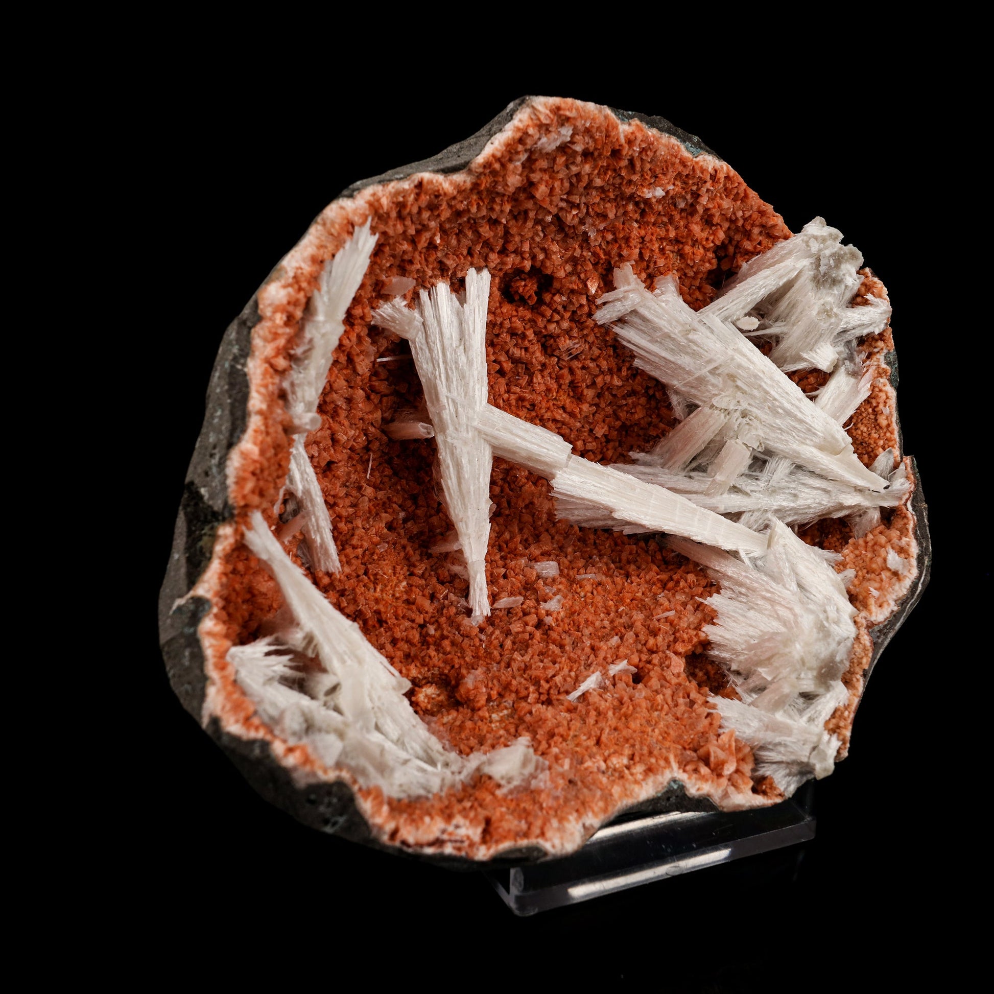 Scolecite Sprays Inside Heulandite Geode Natural Mineral Specimen # B 5719 Scolecite Superb Minerals 