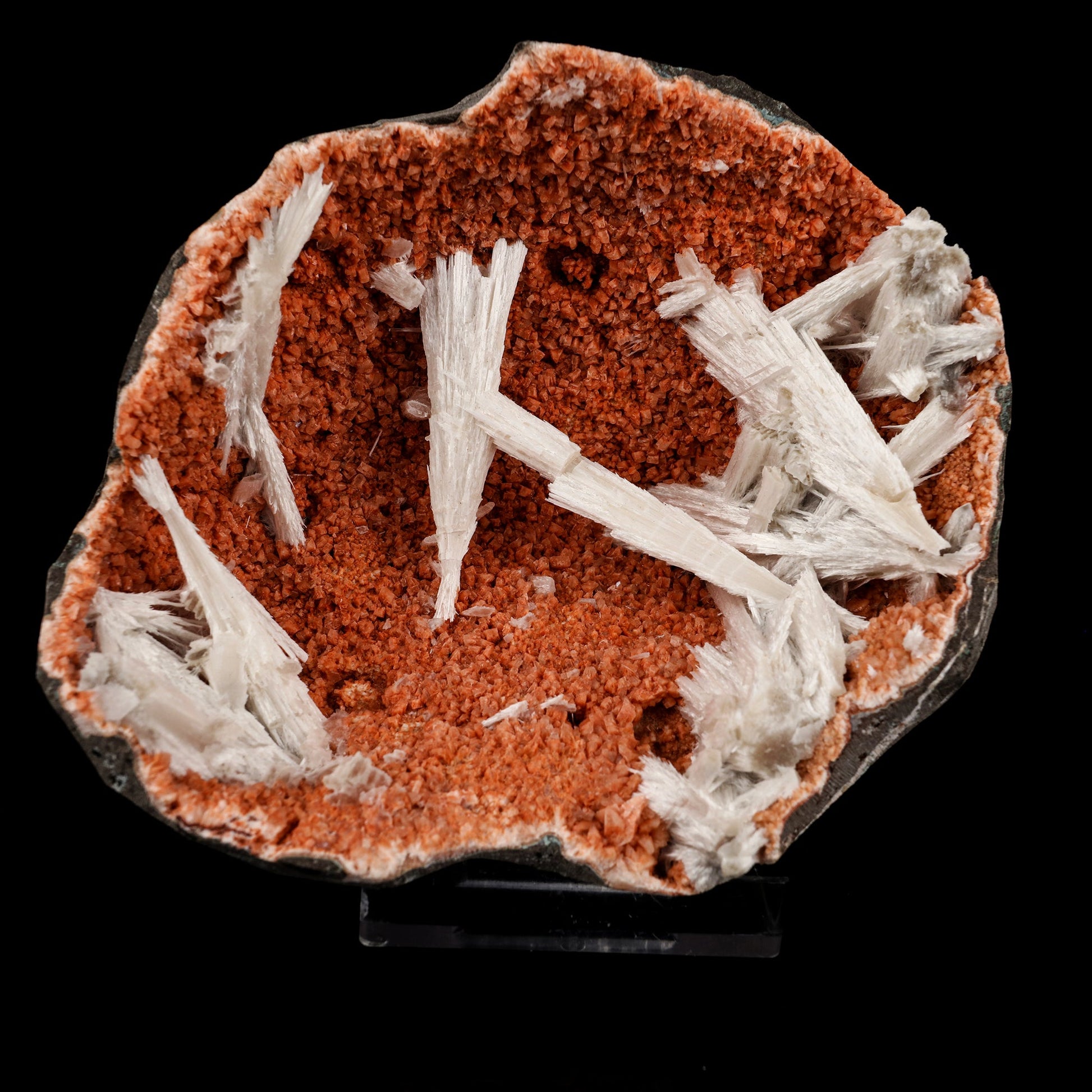 Scolecite Sprays Inside Heulandite Geode Natural Mineral Specimen # B 5719 Scolecite Superb Minerals 