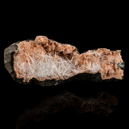 Scolecite Sprays Inside Heulandite Geode Natural Mineral Specimen # B 5809 Scolecite Superb Minerals 