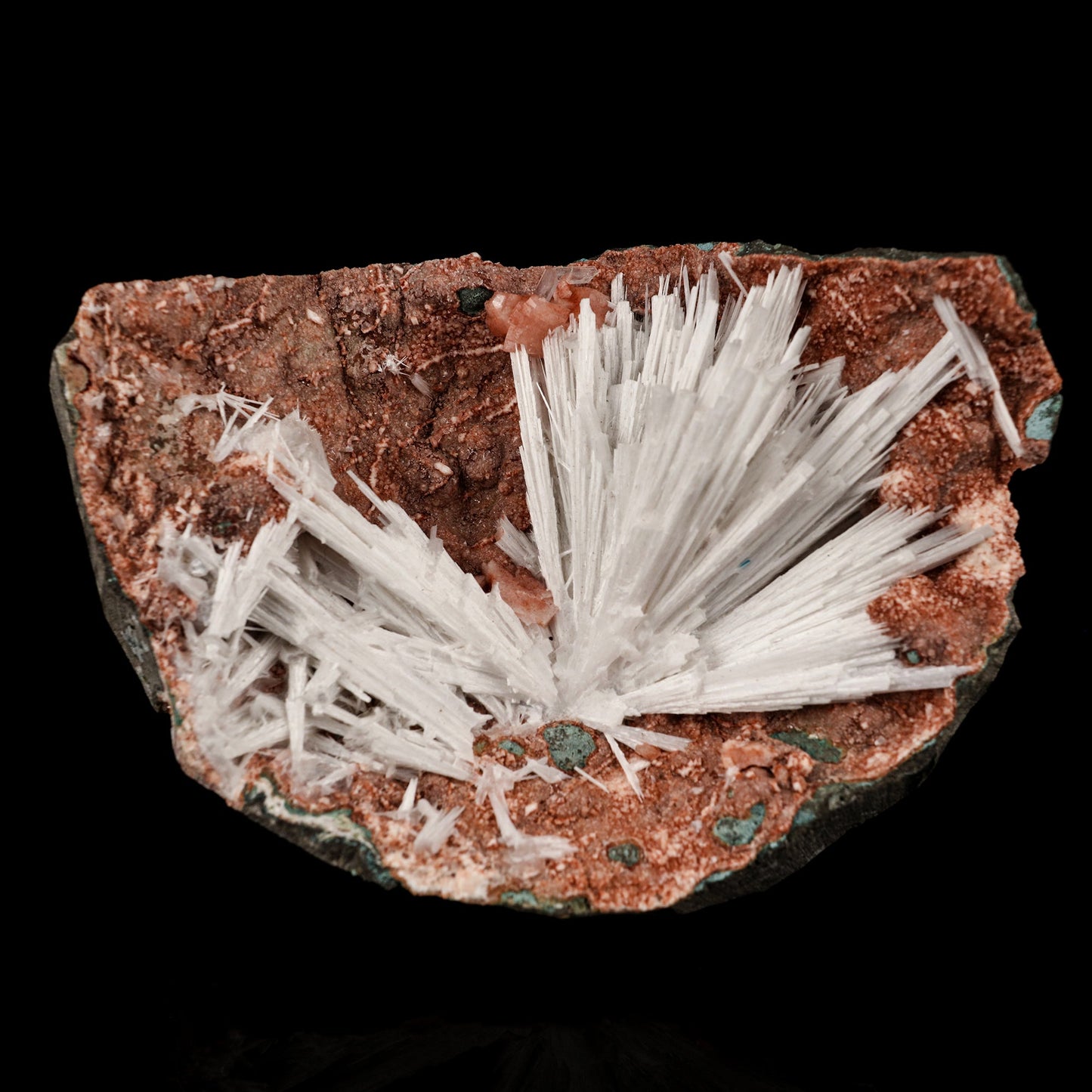Scolecite Sprays Inside Heulandite Geode Natural Mineral Specimen # B 5813 Scolecite Superb Minerals 