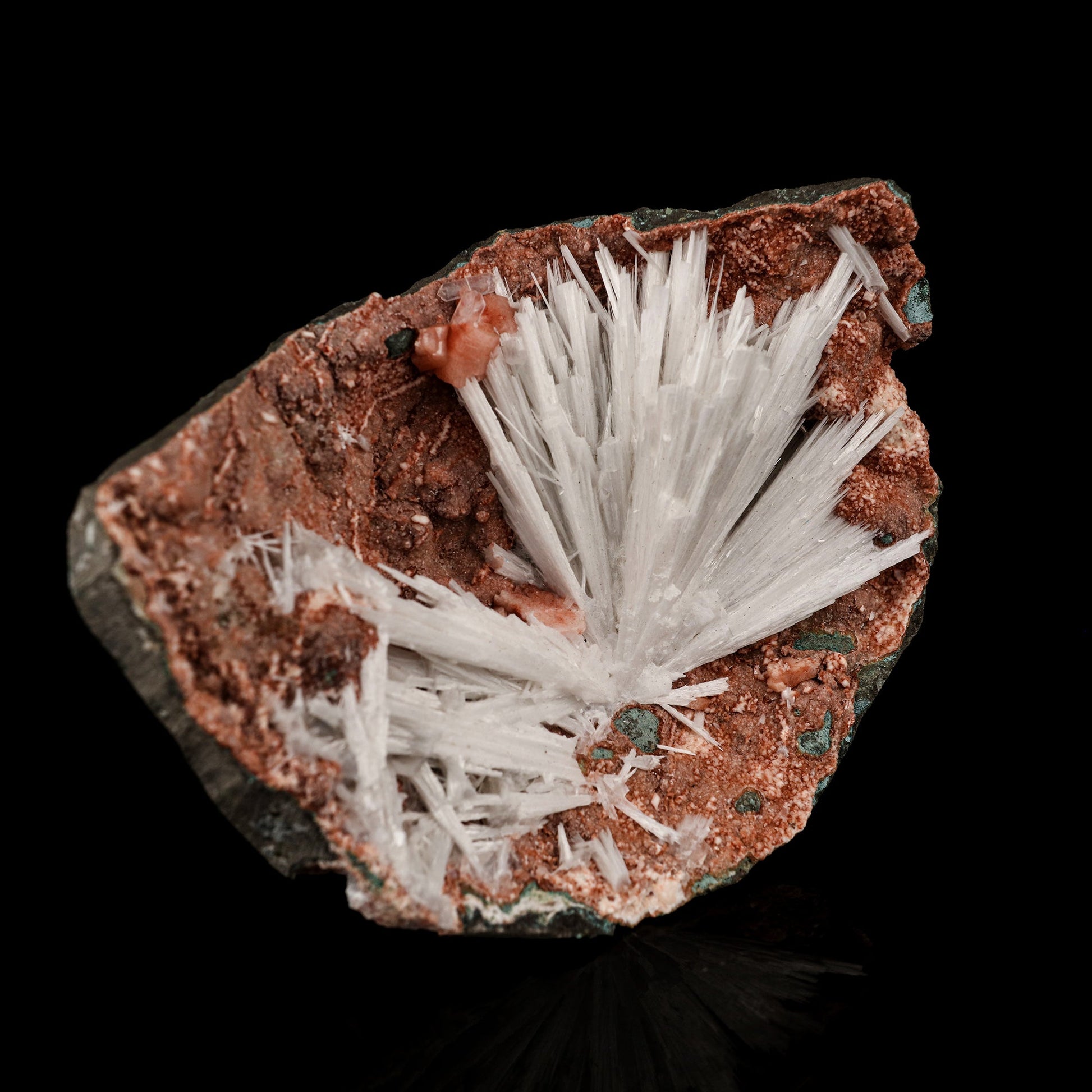 Scolecite Sprays Inside Heulandite Geode Natural Mineral Specimen # B 5813 Scolecite Superb Minerals 