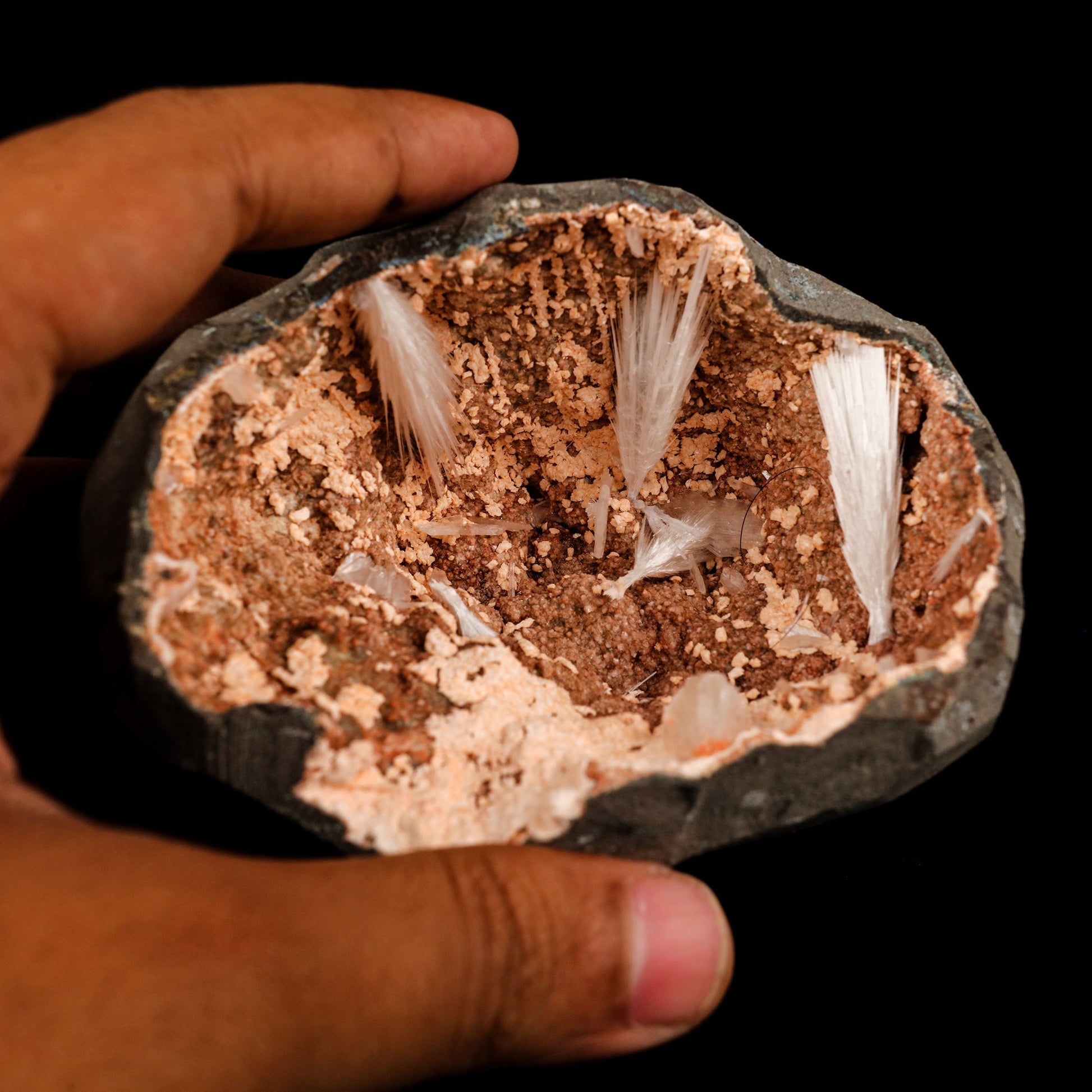 Scolecite Sprays Inside Heulandite Geode Natural Mineral Specimen # B 5823 Scolecite Superb Minerals 