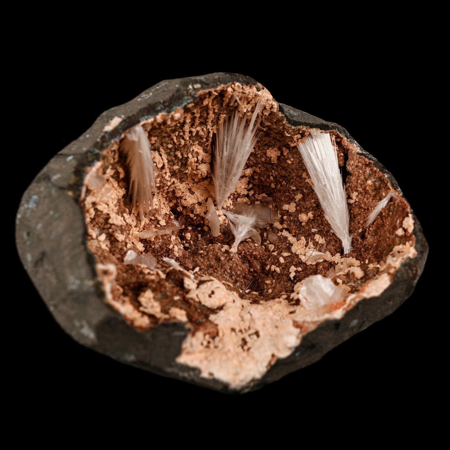 Scolecite Sprays Inside Heulandite Geode Natural Mineral Specimen # B 5823 Scolecite Superb Minerals 