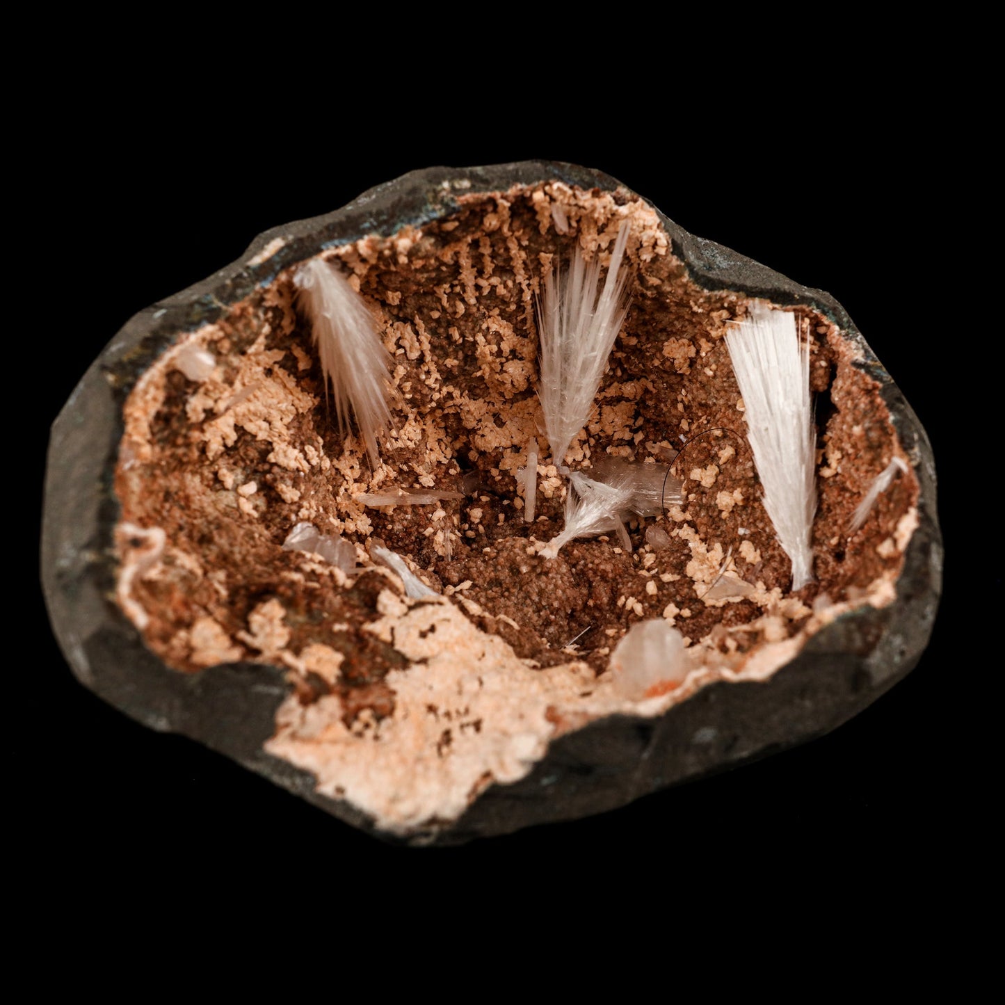 Scolecite Sprays Inside Heulandite Geode Natural Mineral Specimen # B 5823 Scolecite Superb Minerals 