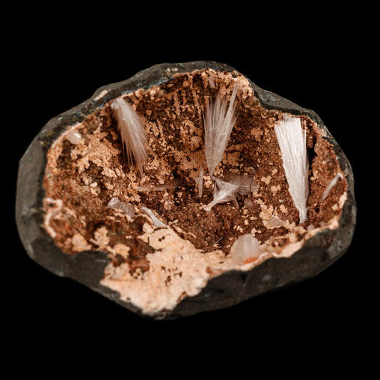 Scolecite Sprays Inside Heulandite Geode Natural Mineral Specimen # B 5823 Scolecite Superb Minerals 