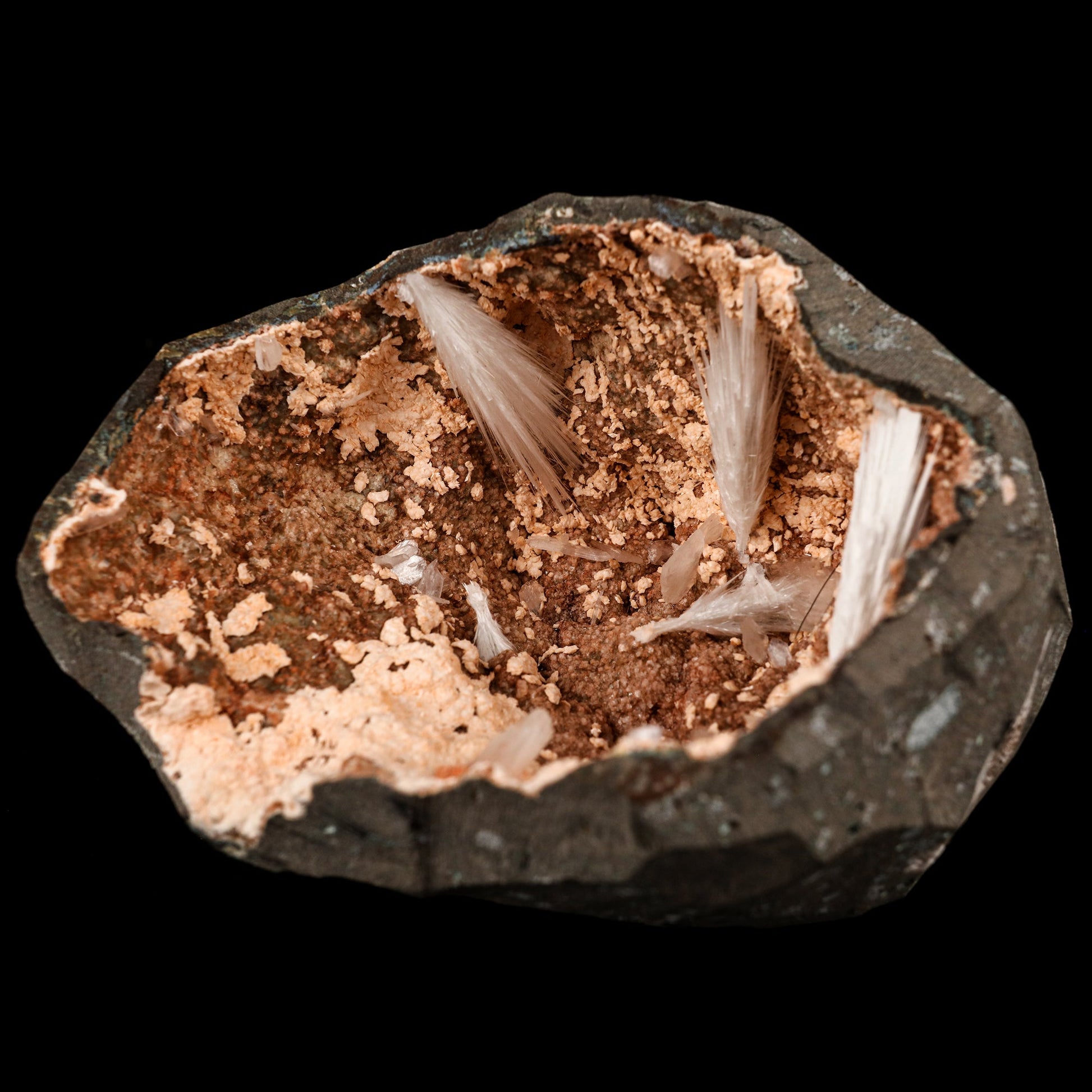 Scolecite Sprays Inside Heulandite Geode Natural Mineral Specimen # B 5823 Scolecite Superb Minerals 