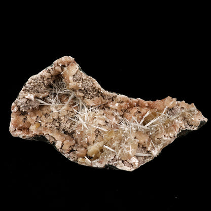 Scolecite Sprays Inside Heulandite Geode Natural Mineral Specimen # B 5860 Scolecite Superb Minerals 