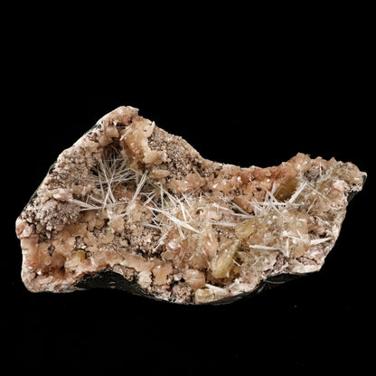 Scolecite Sprays Inside Heulandite Geode Natural Mineral Specimen # B 5860 Scolecite Superb Minerals 