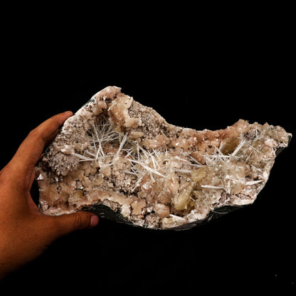 Scolecite Sprays Inside Heulandite Geode Natural Mineral Specimen # B 5860 Scolecite Superb Minerals 