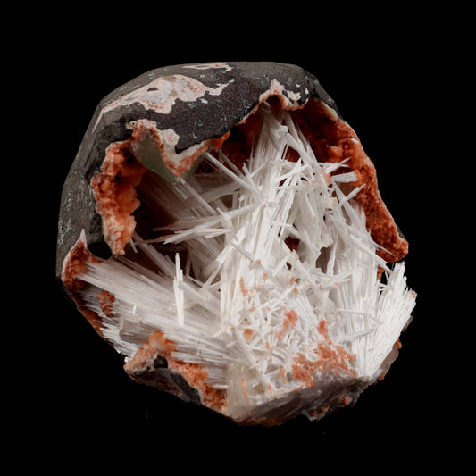 Scolecite Sprays Inside Heulandite Natural Mineral Specimen # B 4956  https://www.superbminerals.us/products/scolecite-sprays-inside-heulandite-natural-mineral-specimen-b-4956  Features:A dramatic spray of scolecite blades is elegantly arranged atop the enormous geode of heulandite on this spectacular and sculptural combination from recent finds at Aurangabad. The crystalline, shiny blades reach about and rest on contrasting iridescent lovely brown Heulandite. Primary Mineral(s): Scolecite