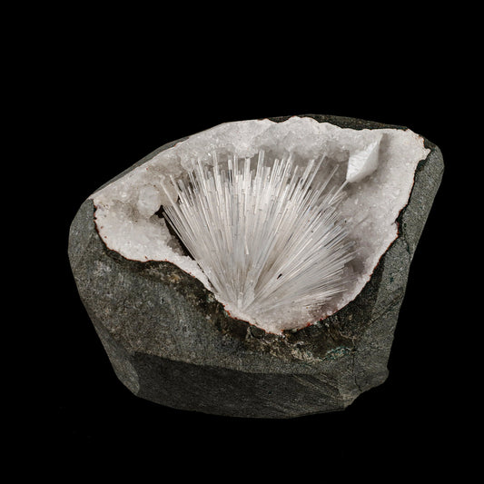Scolecite Sprays Inside MM Quartz Geode Natural Mineral Specimen # B 5490 scolecite Superb Minerals 