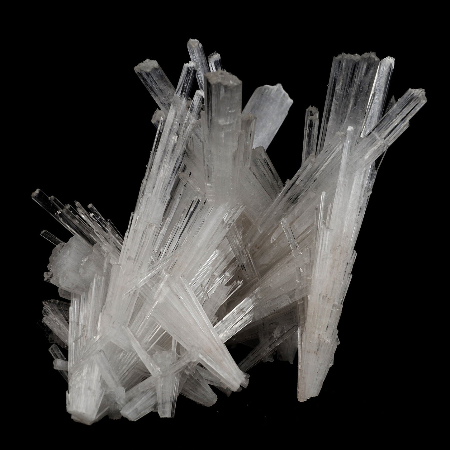 Scolecite Sprays Intergrown Natural Mineral Specimen # B 5104  https://www.superbminerals.us/products/scolecite-sprays-intergrown-natural-mineral-specimen-b-5104  Features: Recent discoveries in Nashik have yielded some spectacular intergrown jackstraw sprays of glassy, iridescent, clear to translucent scolecite prism. STUNNING. The stunning crystals extend in every direction. Primary Mineral(s): Scolecite Secondary Mineral(s): N/AMatrix: N/A 4.5 Inch x 4 InchWeight : 319