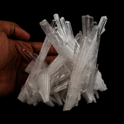Scolecite Sprays Intergrown Natural Mineral Specimen # B 5104  https://www.superbminerals.us/products/scolecite-sprays-intergrown-natural-mineral-specimen-b-5104  Features: Recent discoveries in Nashik have yielded some spectacular intergrown jackstraw sprays of glassy, iridescent, clear to translucent scolecite prism. STUNNING. The stunning crystals extend in every direction. Primary Mineral(s): Scolecite Secondary Mineral(s): N/AMatrix: N/A 4.5 Inch x 4 InchWeight : 319