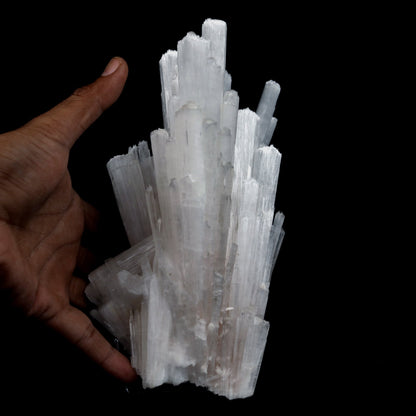 Scolecite Sprays Natural Mineral Specimen # B 4765  https://www.superbminerals.us/products/scolecite-sprays-natural-mineral-specimen-b-4765  Features: Recent discoveries in Nashik have yielded some spectacular intergrown jackstraw sprays of glassy, iridescent, clear to translucent scolecite prism. STUNNING. The stunning crystals extend in every direction. 