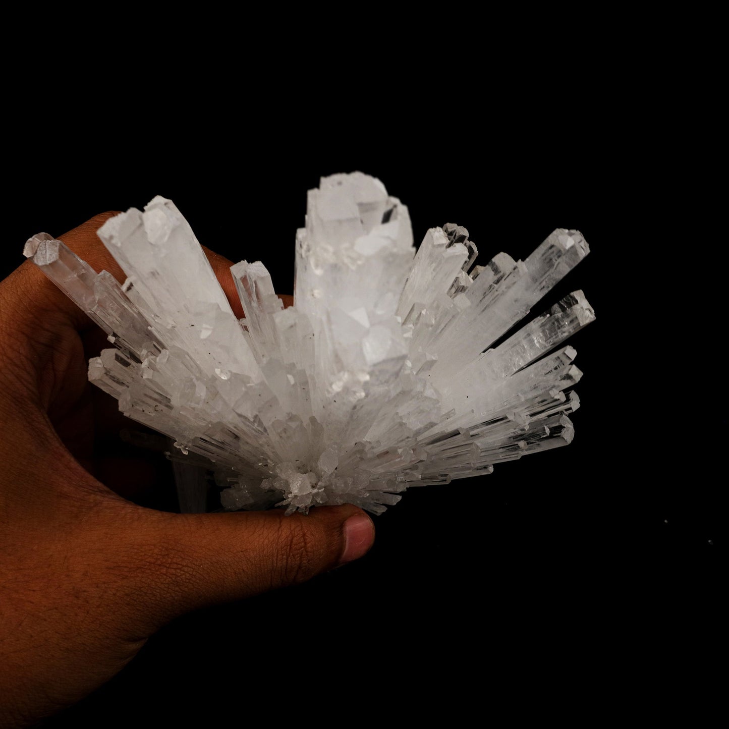 Scolecite Sprays Natural Mineral Specimen # B 6262 Scolecite Superb Minerals 