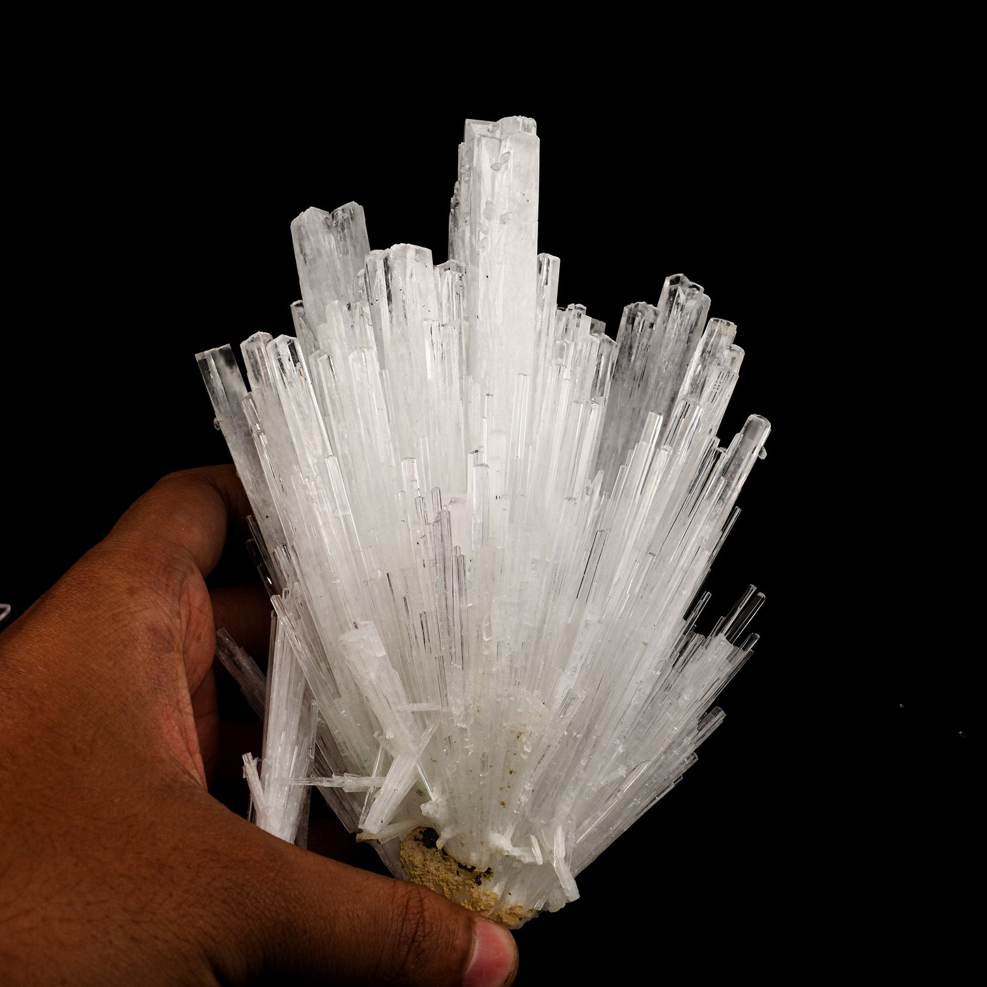 Scolecite Sprays Natural Mineral Specimen # B 6262 Scolecite Superb Minerals 
