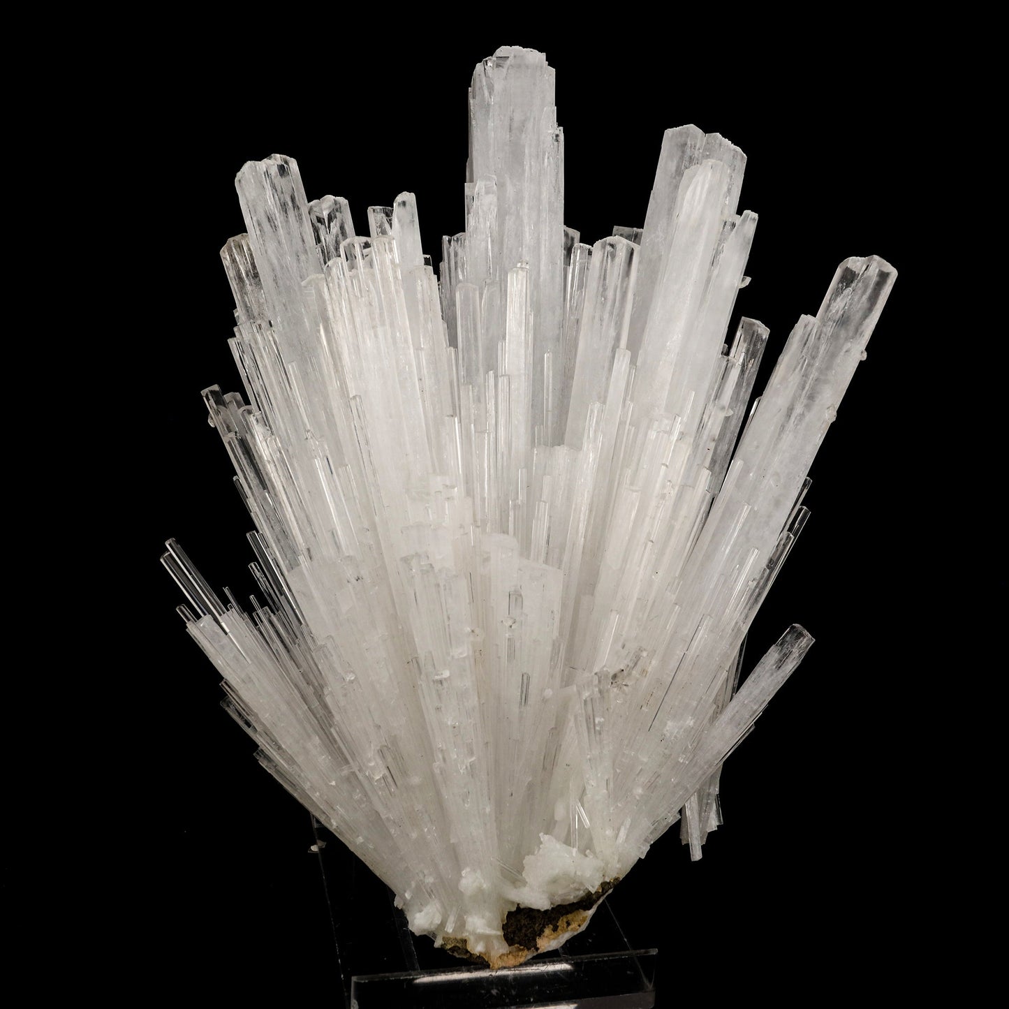 Scolecite Sprays Natural Mineral Specimen # B 6262 Scolecite Superb Minerals 