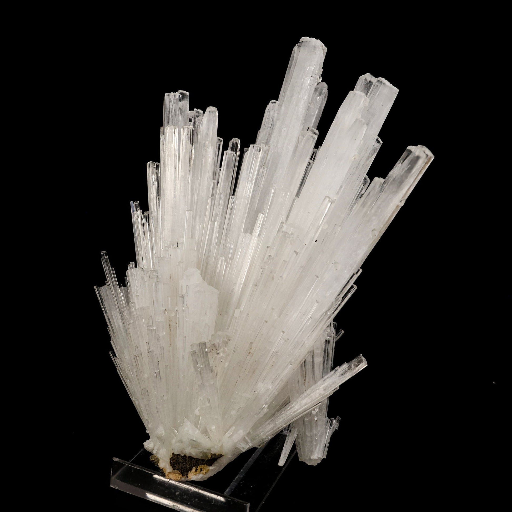 Scolecite Sprays Natural Mineral Specimen # B 6262 Scolecite Superb Minerals 