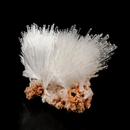 Scolecite Sprays on Heulandite Natural Mineral Specimen # B 6080 Scolecite Superb Minerals 