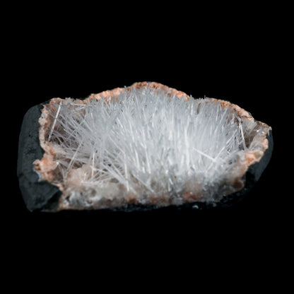 Scolecite Sprays On Heulandite With Stilbite Geode Natural Mineral Spe… https://www.superbminerals.us/products/scolecite-sprays-on-heulandite-with-stilbite-geode-natural-mineral-specimen-b-4904 Features: Scolecite crystals are interspersed throughout a very large Geode that is lined with beige Heulandite crystals. The sprays of Scolecite crystals are glossy, colourless, highly translucent, acicular (needle-like) in shape. The crystal creation is a work of art in and of itself.