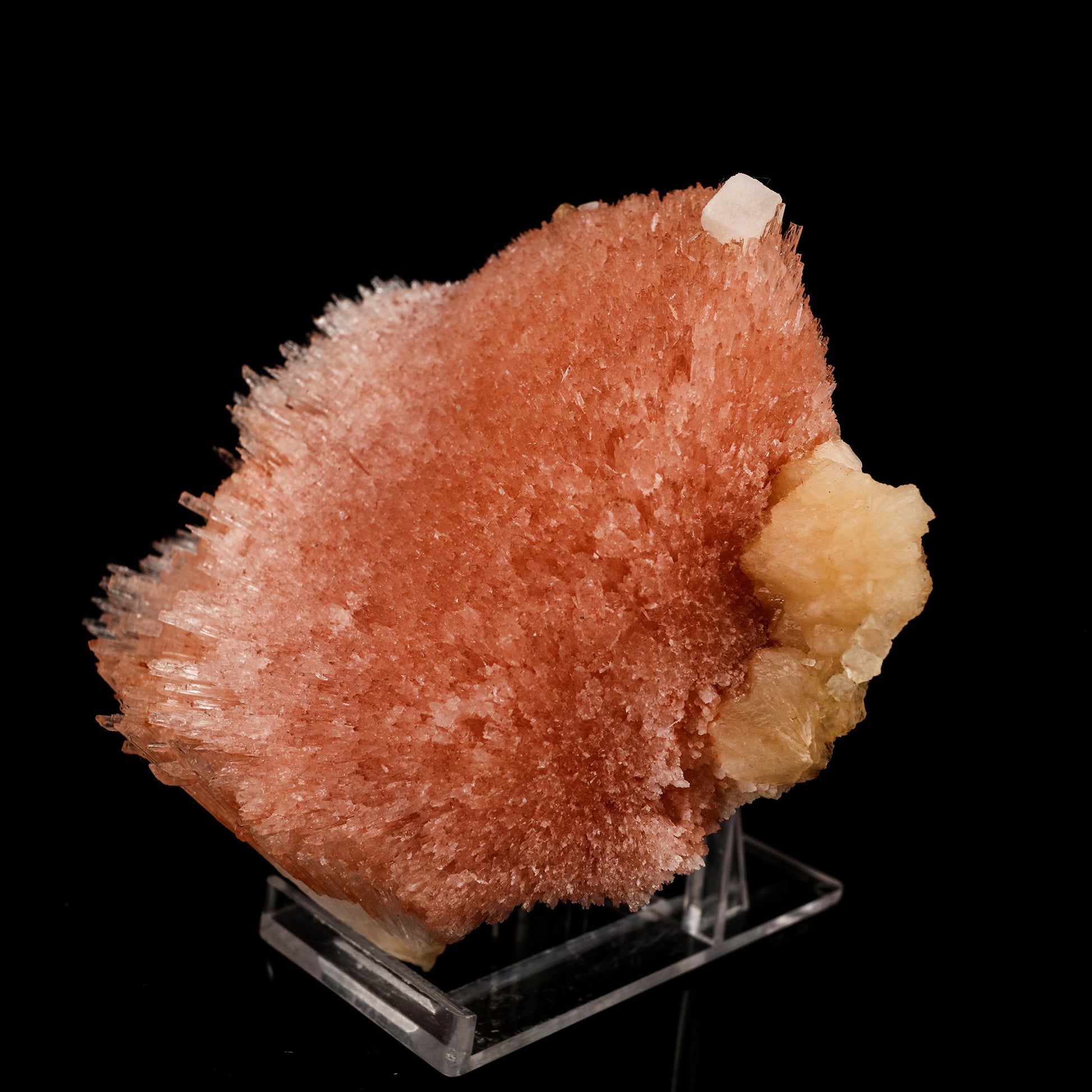 Scolecite Sprays Pink Rare found Natural Mineral Specimen # B 5811 Scolecite Superb Minerals 