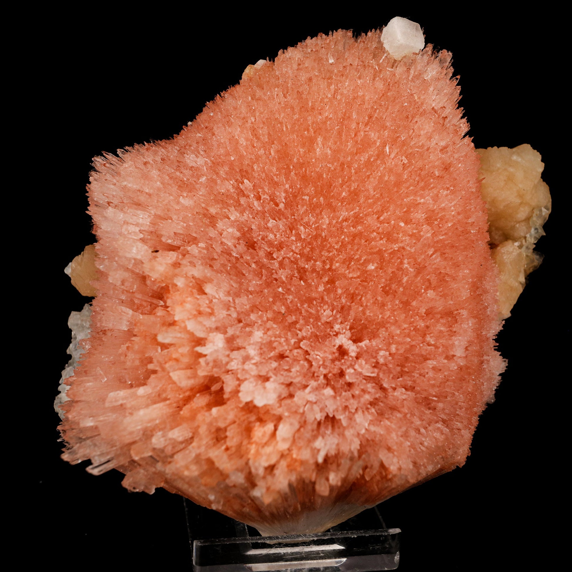 Scolecite Sprays Pink Rare found Natural Mineral Specimen # B 5811 Scolecite Superb Minerals 