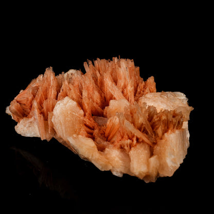 Scolecite Sprays Pink with Stilbite Rare found Natural Mineral Specimen # B 5783 Scolecite Superb Minerals 