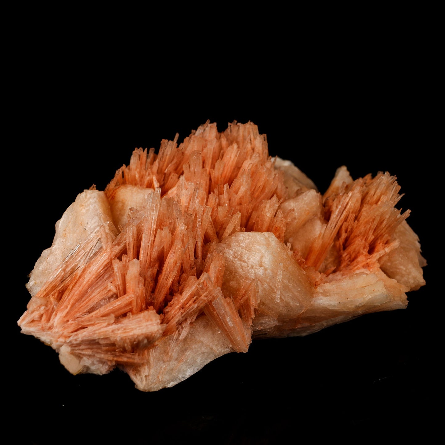Scolecite Sprays Pink with Stilbite Rare found Natural Mineral Specimen # B 5783 Scolecite Superb Minerals 