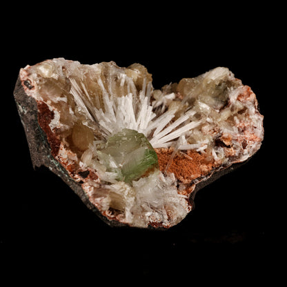 Scolecite Sprays With Apophyllite Green and Stilbite inside Heulandite Geode Natural Mineral Specimen # B 5771 Scolecite Superb Minerals 