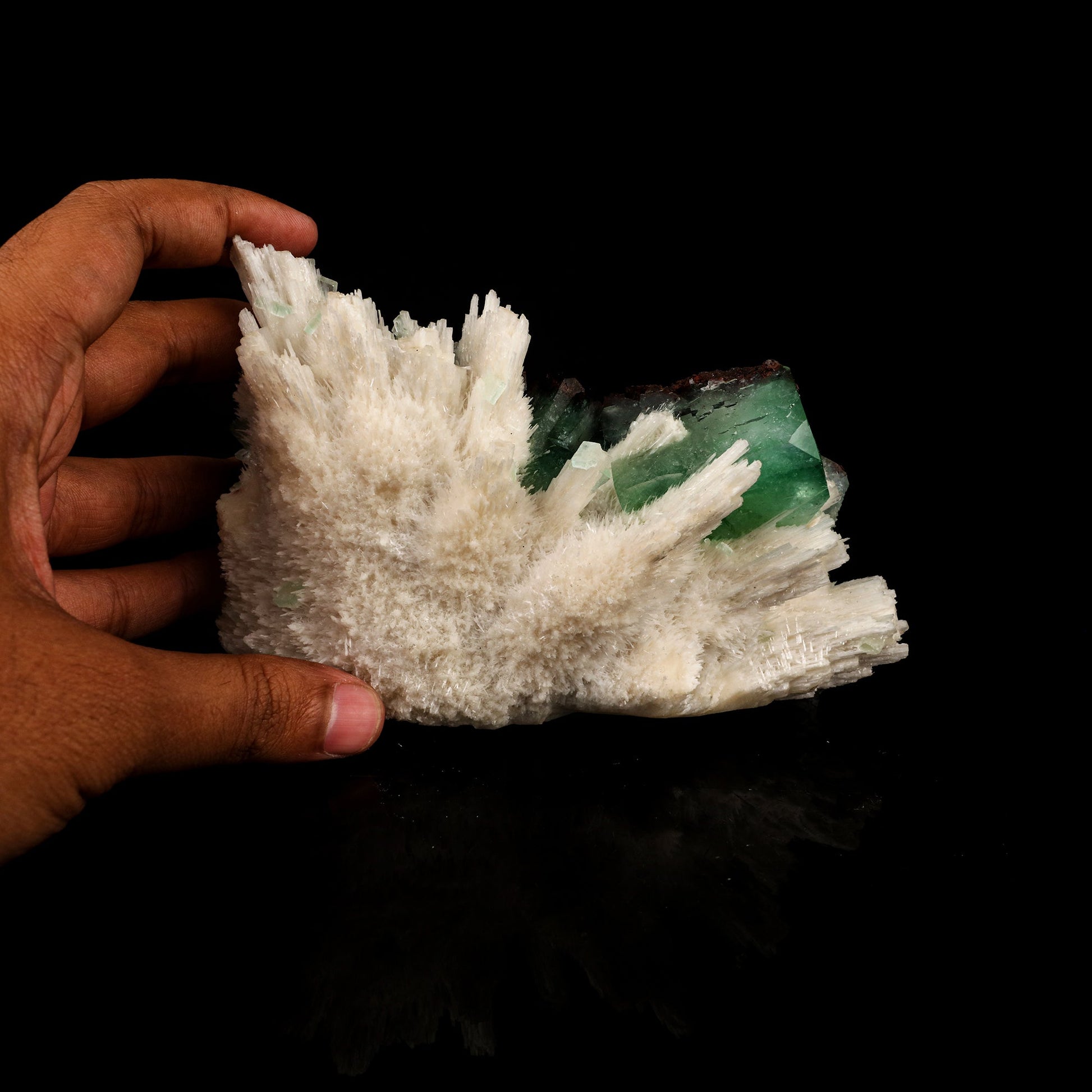 Scolecite Sprays with green Apophyllite cube Free Standing Natural Mineral Specimen # B 6326 Scolecite Superb Minerals 
