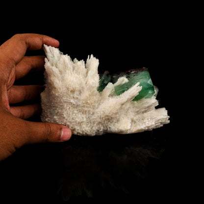 Scolecite Sprays with green Apophyllite cube Free Standing Natural Mineral Specimen # B 6326 Scolecite Superb Minerals 