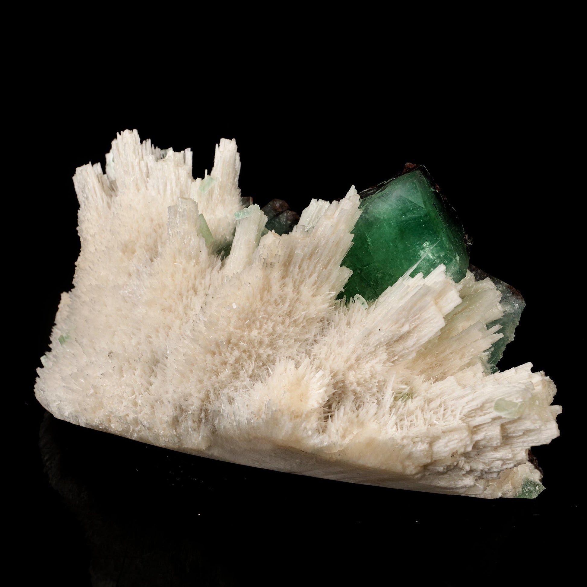 Scolecite Sprays with green Apophyllite cube Free Standing Natural Mineral Specimen # B 6326 Scolecite Superb Minerals 