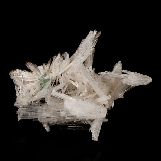 Scolecite Sprays with green Apophyllite cube Natural Mineral Specimen # B 6264 Scolecite Superb Minerals 