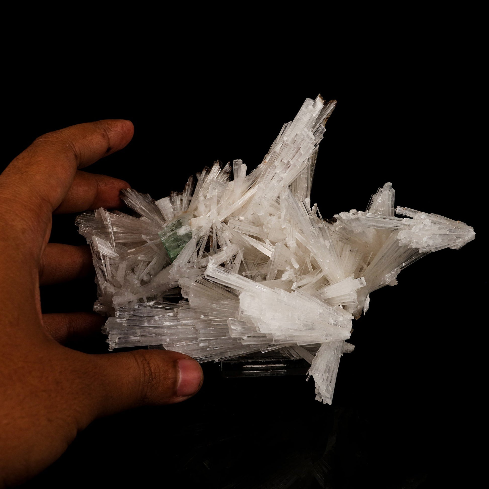 Scolecite Sprays with green Apophyllite cube Natural Mineral Specimen # B 6264 Scolecite Superb Minerals 