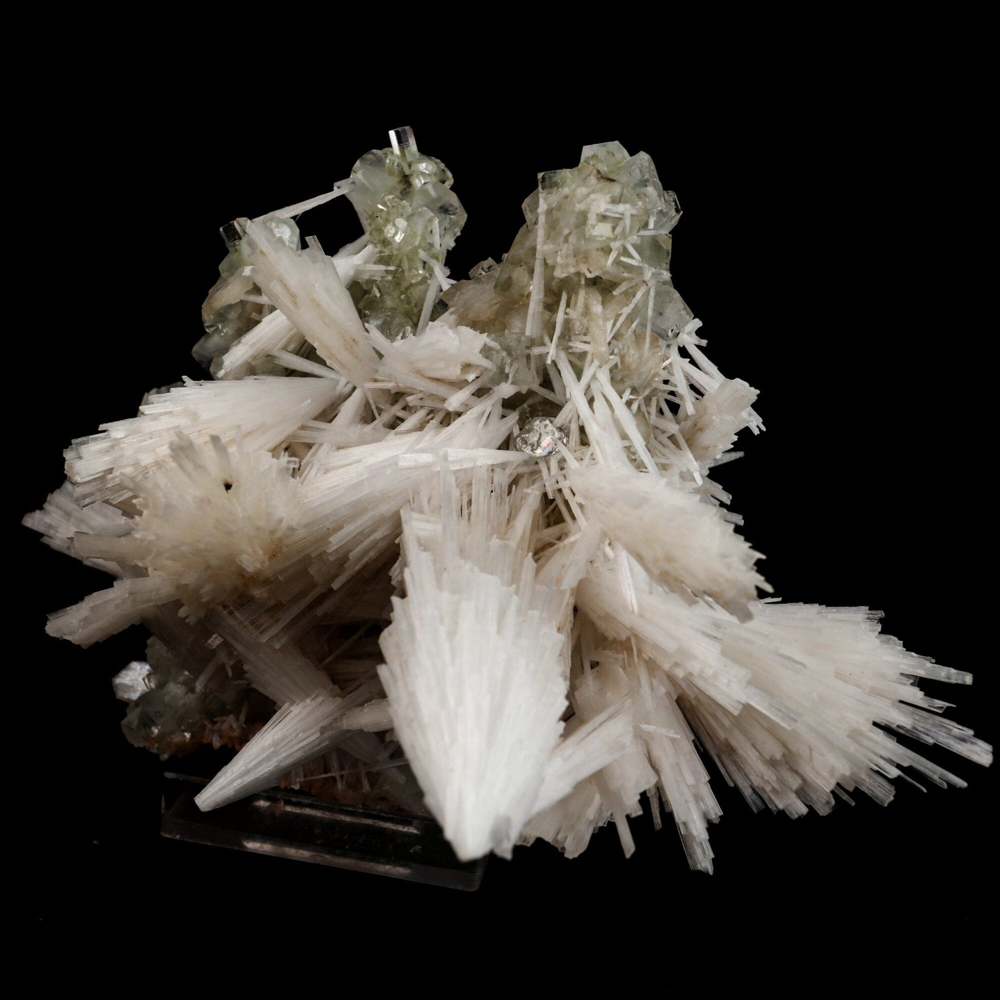 Scolecite Sprays with green Apophyllite cube Natural Mineral Specimen # B 6548 Scolecite Superb Minerals 