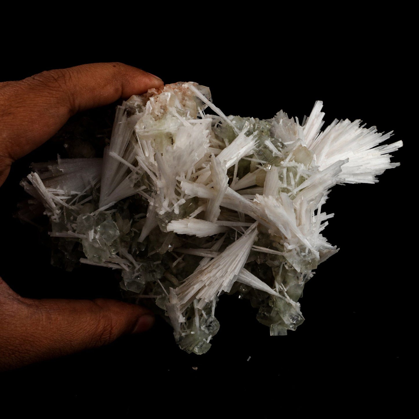 Scolecite Sprays with green Apophyllite cube Natural Mineral Specimen # B 6548 Scolecite Superb Minerals 