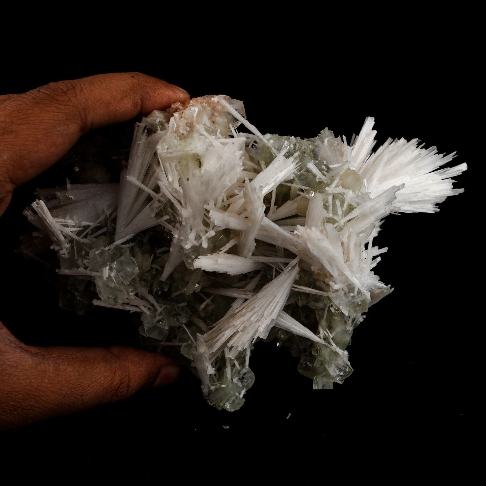 Scolecite Sprays with green Apophyllite cube Natural Mineral Specimen # B 6548 Scolecite Superb Minerals 