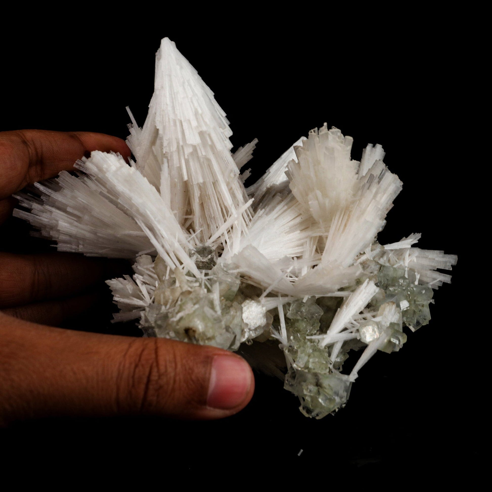 Scolecite Sprays with green Apophyllite cube Natural Mineral Specimen # B 6548 Scolecite Superb Minerals 