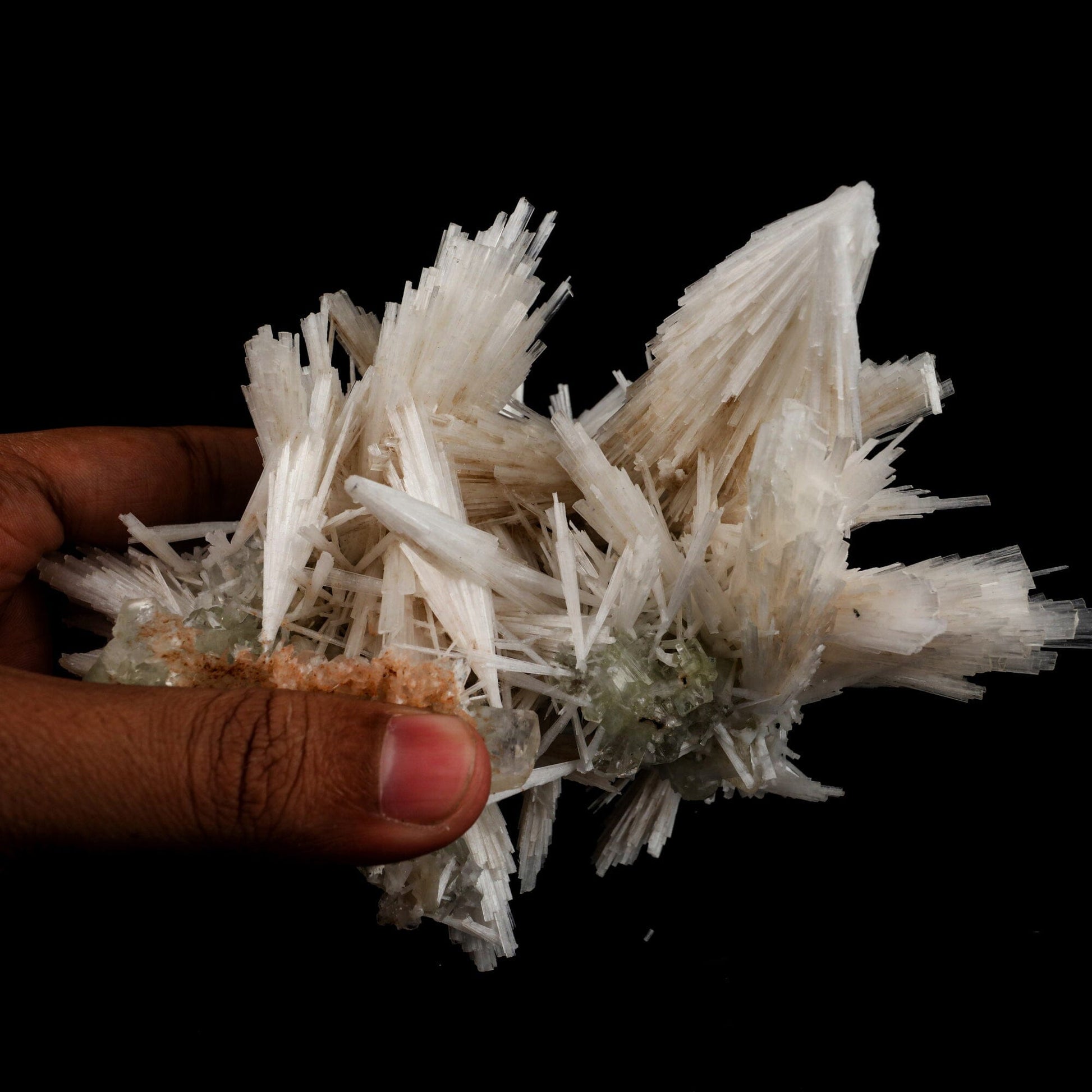 Scolecite Sprays with green Apophyllite cube Natural Mineral Specimen # B 6548 Scolecite Superb Minerals 